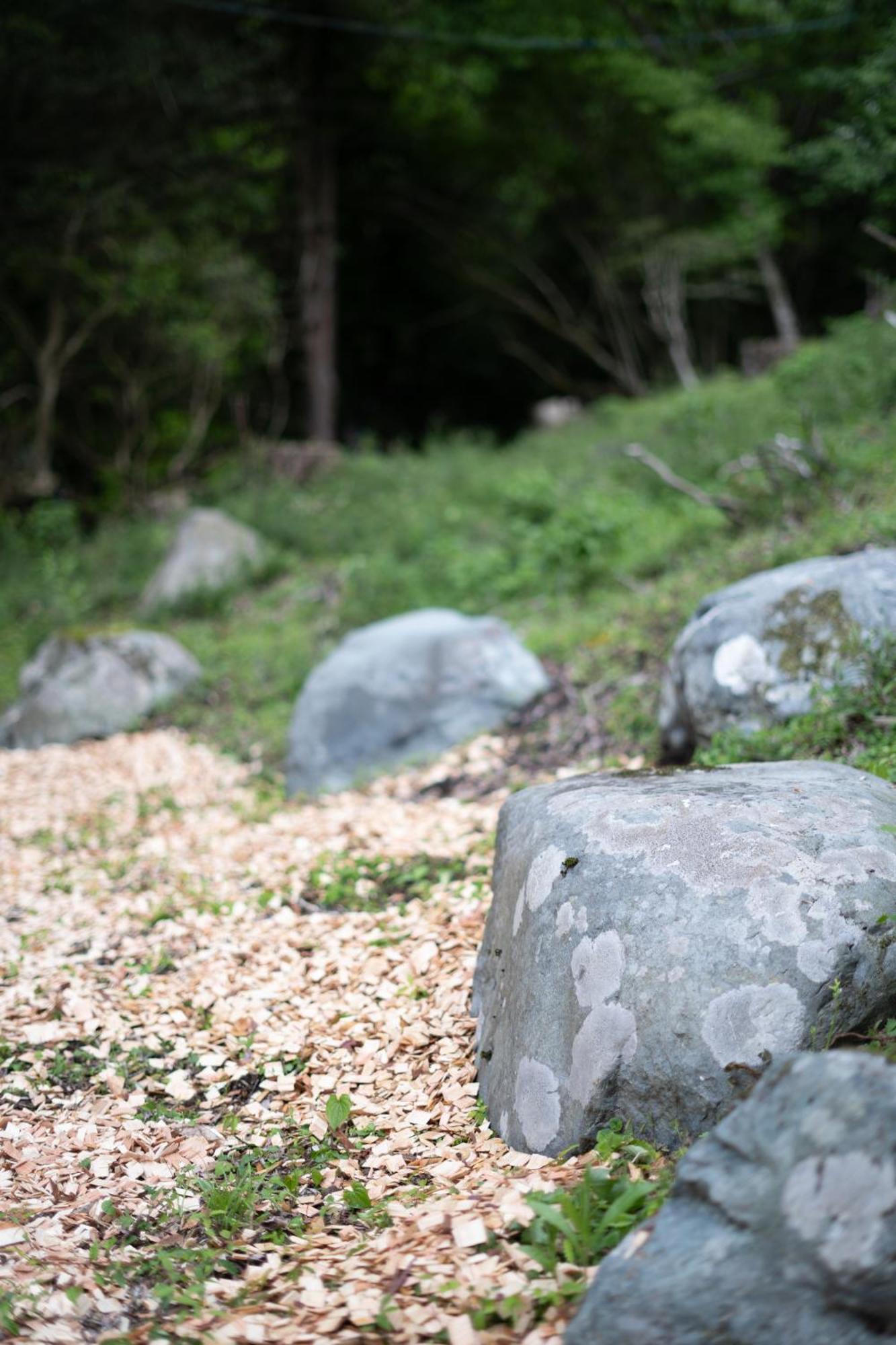 Aknot Hakone 大涌谷を望むモダニズム建築 東京から90分别墅 外观 照片